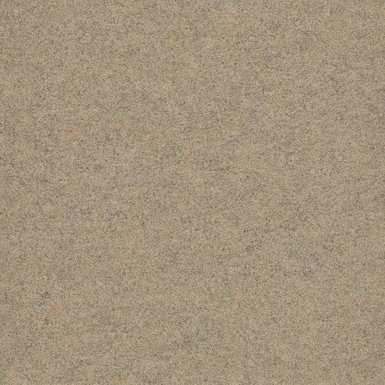 FORBO FORTE Иглопробивной 96003-sand